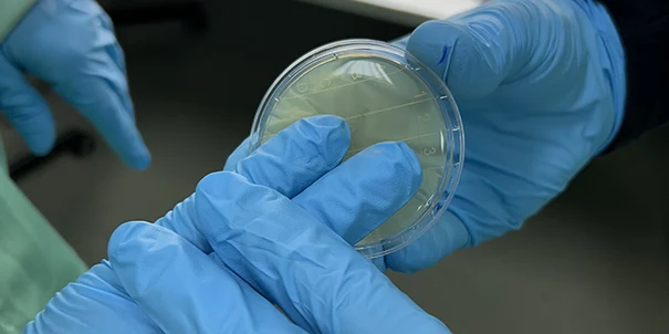 Control microbiológico de la Sala Blanca