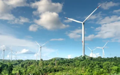 El Real Decreto 1055/2022 y nuestra adhesión a SCRAP ENVALORA: Compromiso con la sostenibilidad y el cumplimiento legal