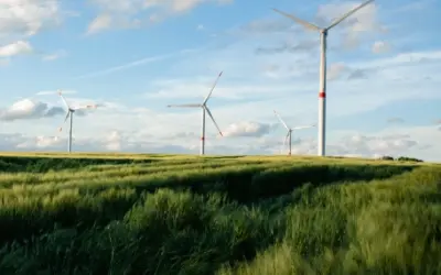 Sostenibilidad en envases plásticos: normativa, materiales y ecodiseño