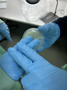 Controles microbiológicos de sala blanca