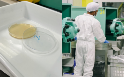 Control ambiental y garantía de calidad: el papel de la sala blanca en la producción de packaging y envases